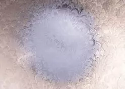 Level 5 - Pilkington Textured Glass Picture