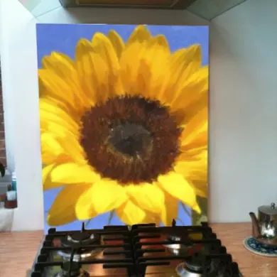Splashback Option