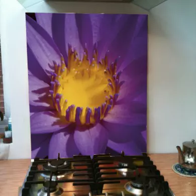 Splashback Option